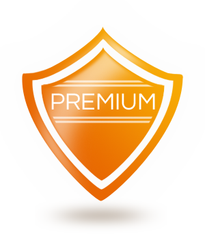 Премиум привилегии. Значок Premium. Премиум качество иконка. Премиум ярлык. Пиктограмма премиум.