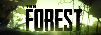 Рандом ключ 1/10 The Forest
