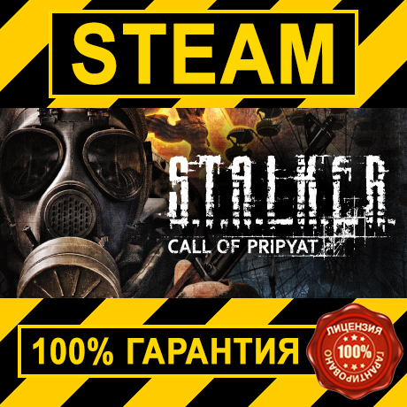 S.T.A.L.K.E.R Call of Pripyat (Steam Key | Region Free)