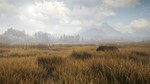 ✅theHunter Call of the Wild + 9 DLC  (Steam Ключ)