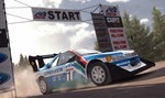 DiRT Rally (Steam Key/Region Free) - irongamers.ru