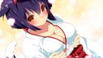 Sakura Shrine Girls (Steam Key/Region Free)