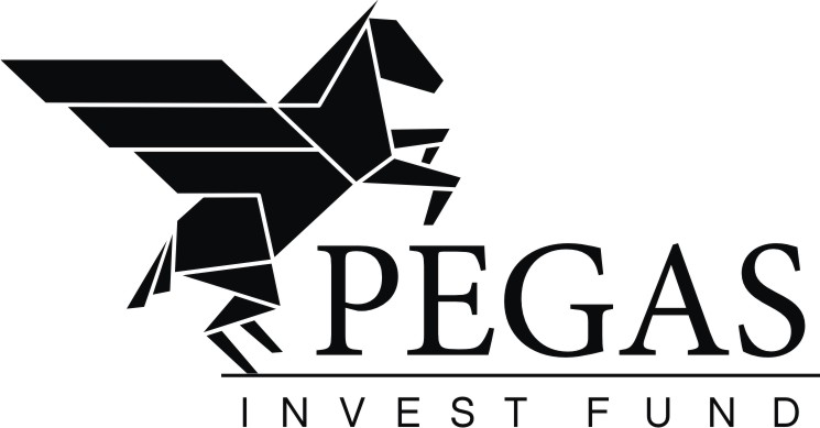 Чек Pegas Invest