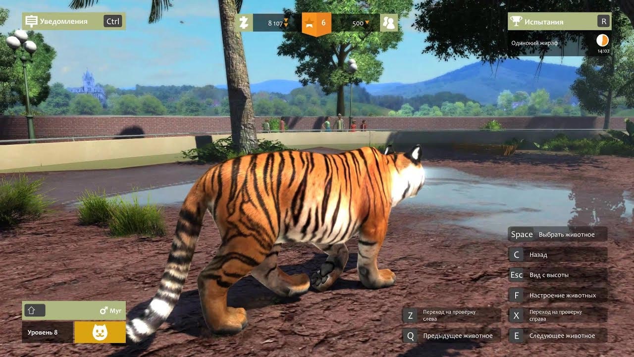 Buy Zoo Tycoon: Ultimate Animal Collection (STEAM KEY) and download Buy Zoo Tycoon: Ultimate Animal Collection (STEAM KEY) and download