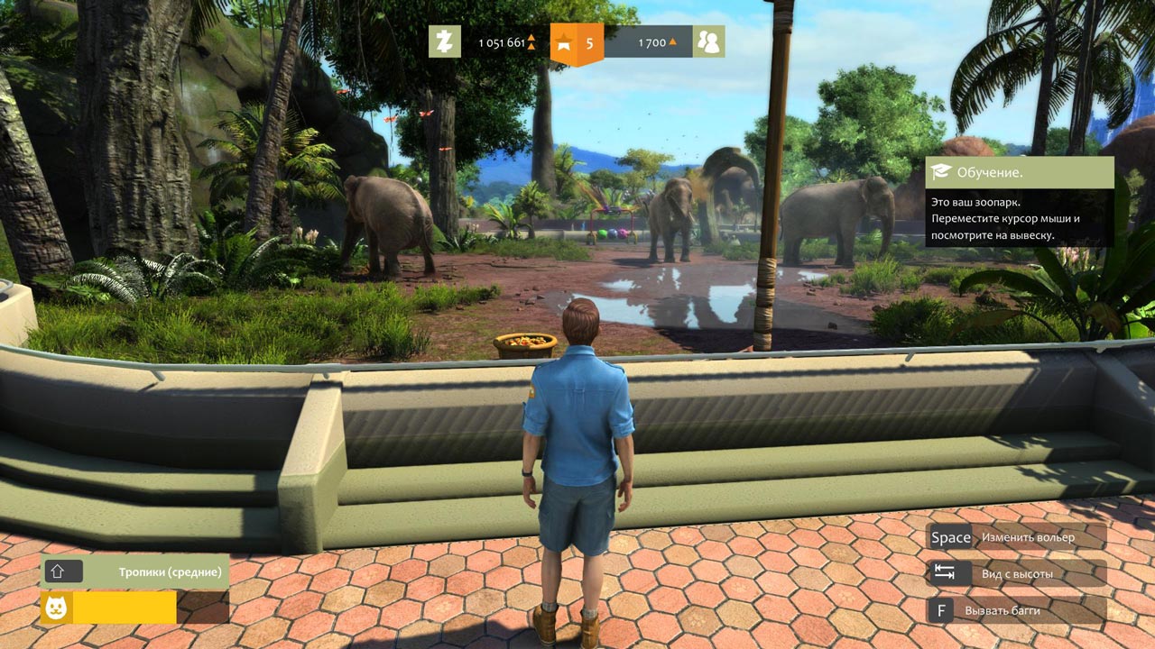 Buy Zoo Tycoon: Ultimate Animal Collection (STEAM KEY) and download