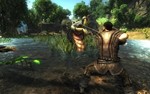Risen 1 *STEAM КЛЮЧ *РОССИЯ+КЗ+СНГ *РУССКИЙ ЯЗЫК