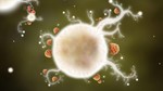 Botanicula *STEAM КЛЮЧ *РОССИЯ + МИР *РУССКИЙ ЯЗЫК