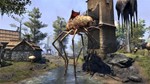 The Elder Scrolls Online + Morrowind*STEAM*РФ+СНГ