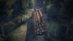 SPINTIRES (STEAM KEY / RUSSIA + GLOBAL)