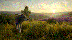 theHunter: Call of the Wild - Cuatro Colinas*STEAM