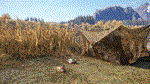 theHunter Call of the Wild - Duck and Cover Pack*STEAM