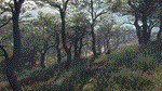 theHunter Call of the Wild - Parque Fernando*DLC STEAM