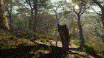 theHunter Call of the Wild - Parque Fernando*DLC STEAM