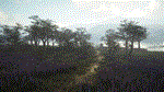 theHunter Call of the Wild - Parque Fernando*DLC STEAM