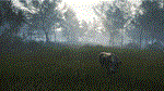 theHunter Call of the Wild - Te Awaroa National Pack*