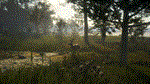 theHunter Call of the Wild - Te Awaroa National Pack*