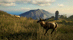theHunter Call of the Wild - Te Awaroa National Pack*