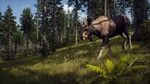 Way of the Hunter *STEAM *РФ+КЗ+СНГ**РУС.ЯЗЫК