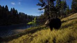 Way of the Hunter *STEAM *РФ+КЗ+СНГ**РУС.ЯЗЫК