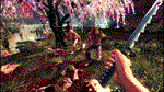 Shadow Warrior (2013) *STEAM*РФ+МИР*РУС. ЯЗЫК