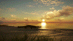 theHunter: Call of the Wild - Emerald Coast Australia*