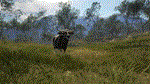 theHunter: Call of the Wild - Emerald Coast Australia*