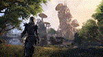 The Elder Scrolls Online + Morrowind 🔑STEAM ✔️РФ + МИР