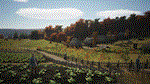 Manor Lords*STEAM*РОССИЯ+СНГ*РУССКИЙ ЯЗЫК
