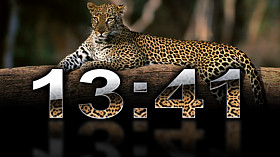 Clock Digital Leopard code activation