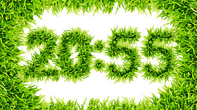 Clock Grass code activation