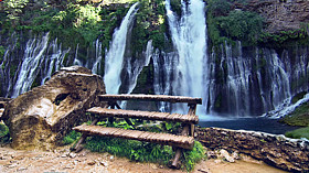 Waterfalls Still Life Screensaver code activation