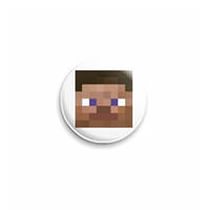 MineCraft аккаунт с секреткой ИЛИ БЕЗ