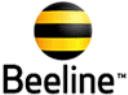Билайн казахстан. Логотип Beeline Kazakhstan. Билайн Паймент. Beeline РК Apr 21 52 салон. Код Билайн Казахстан Узбекистан.