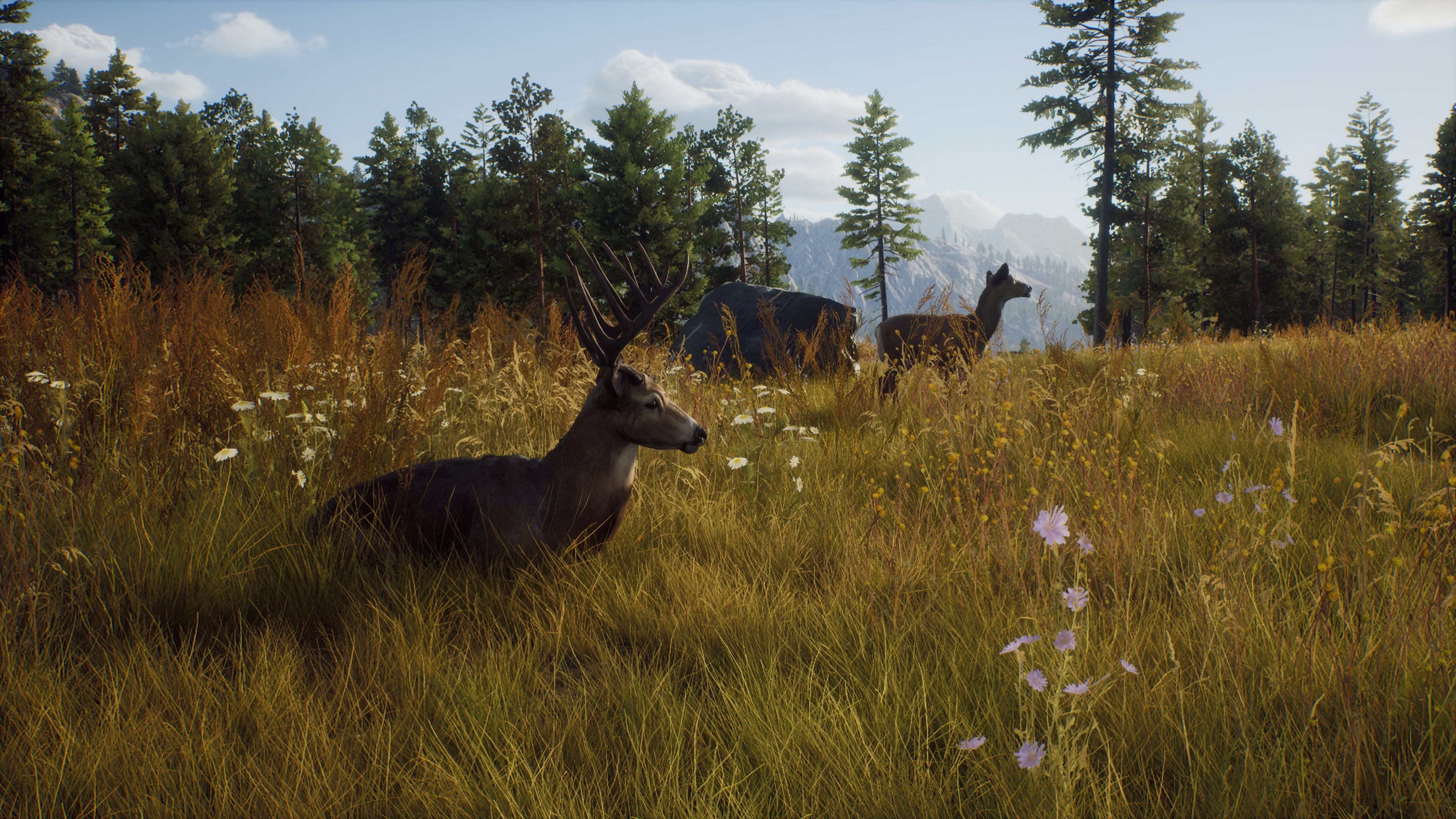 Hunter video game. Way of the Hunter 2022. Way of the Hunter игра. Hunter 2022 игра. Way of the Hunter: Elite Edition.