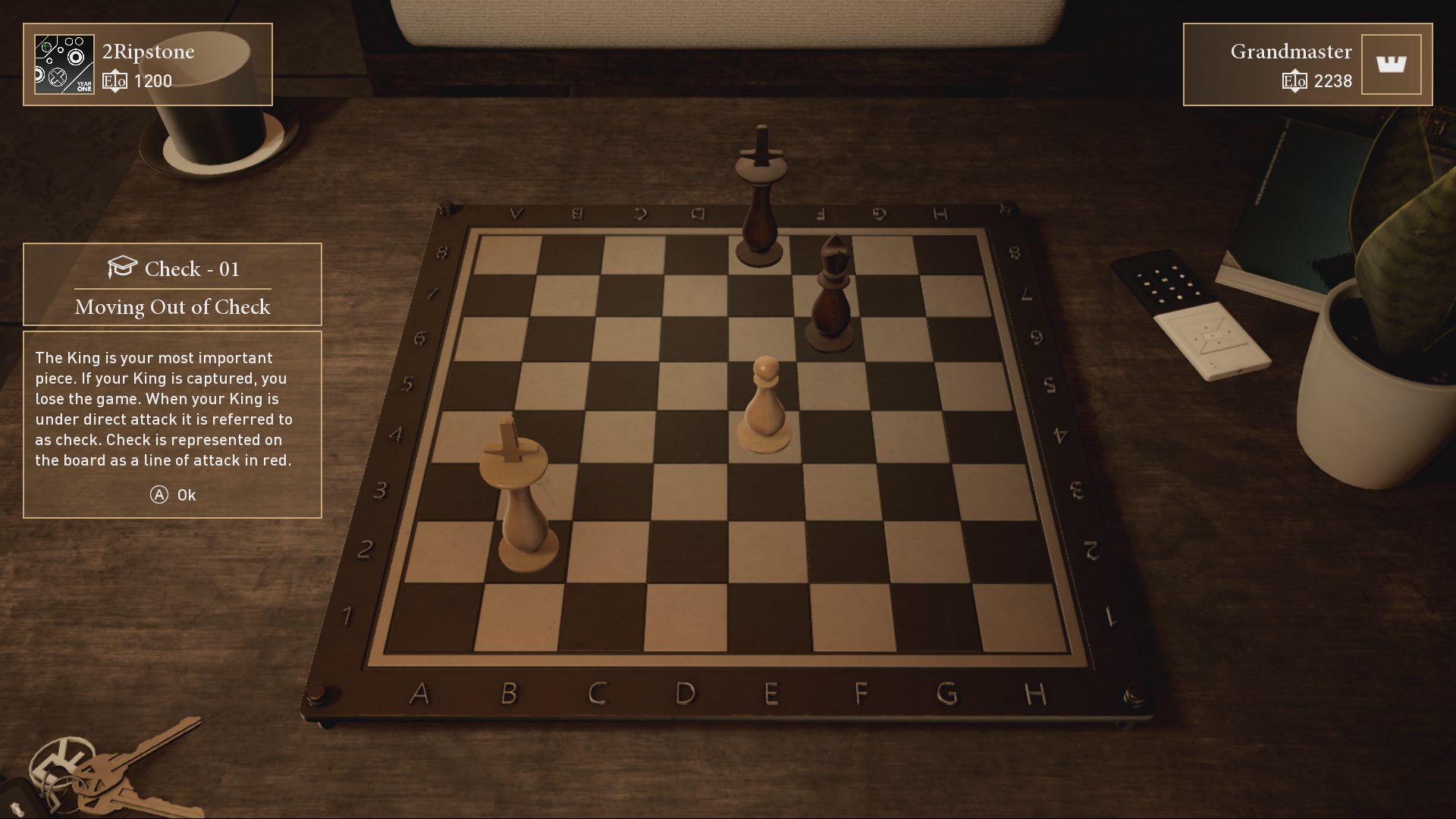 Шахматный сквер чита. Читы chess. Бато владимирович чита шахматы. Шахматы правила игры для новичков с картинками. Шахматные ходы.