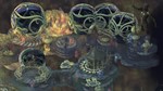 ***TORMENT: TIDES OF NUMENERA**XBOX ONE|XS*КЛЮЧ*