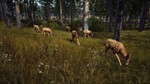 ***WAY OF THE HUNTER ELITE EDITION**XBOX|XS*КЛЮЧ*