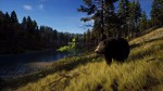 ***WAY OF THE HUNTER ELITE EDITION**XBOX|XS*КЛЮЧ*