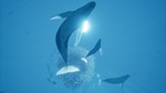 ***ABZU**XBOX ONE|XS*КЛЮЧ*