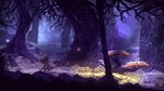 INDIE BUNDLE: SHINESS AND SEASONS AFTER FALL*XBOX*КЛЮЧ