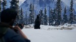 ***OPEN COUNTRY**XBOX ONE|XS*КЛЮЧ*