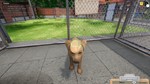 ***ANIMAL SHELTER SIMULATOR**XBOX ONE|XS*КЛЮЧ*