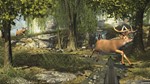 ***BIG BUCK HUNTER ARCADE**XBOX ONE|XS*КЛЮЧ*