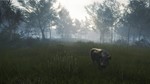 ***THEHUNTER™ - TE AWAROA NATIONAL PARK**XBOX*КЛЮЧ