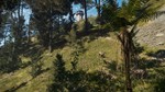 ***THEHUNTER™ - TE AWAROA NATIONAL PARK**XBOX*КЛЮЧ