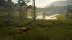 ***THEHUNTER: CALL OF THE WILD - BLOODHOUND**XBOX*КЛЮЧ