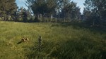 ***THEHUNTER: CALL OF THE WILD - BLOODHOUND**XBOX*КЛЮЧ