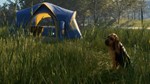 ***THEHUNTER: CALL OF THE WILD - BLOODHOUND**XBOX*КЛЮЧ