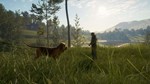 ***THEHUNTER: CALL OF THE WILD - BLOODHOUND**XBOX*КЛЮЧ