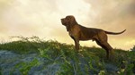 ***THEHUNTER: CALL OF THE WILD - BLOODHOUND**XBOX*КЛЮЧ